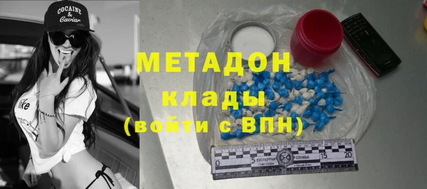 индика Пересвет