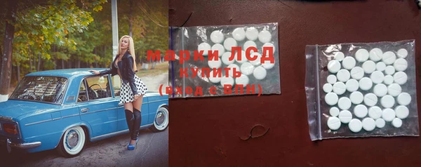 PSILOCYBIN Баксан